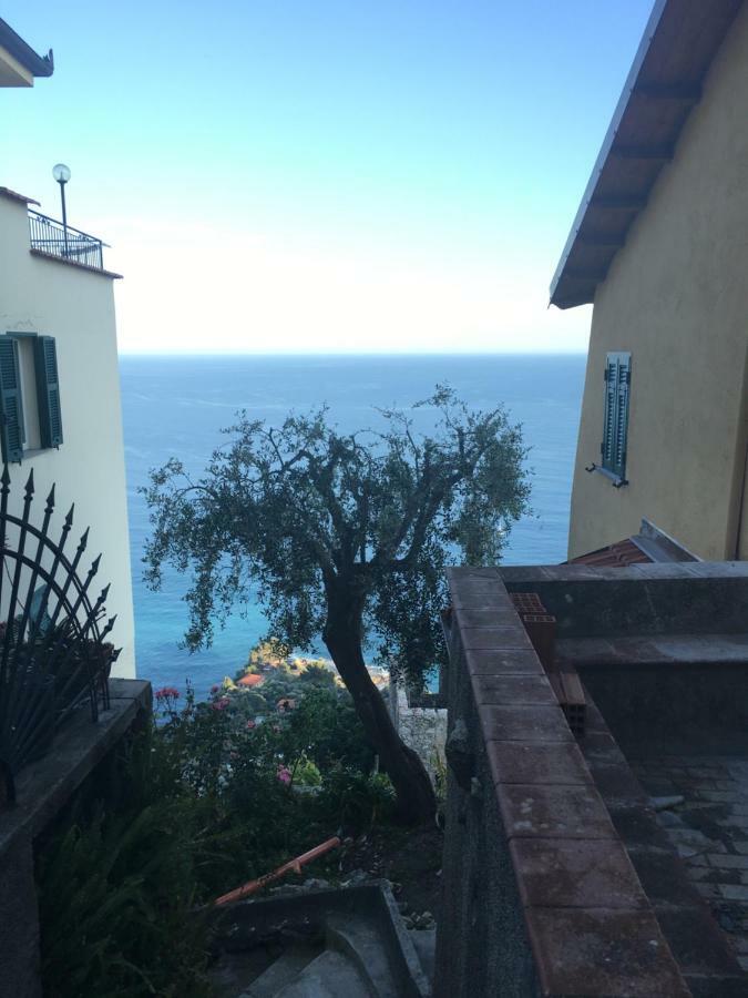 House In Grimaldi. Spectacular View Over The French Riviera! Грималди Екстериор снимка